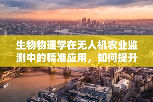 生物物理学在无人机农业监测中的精准应用，如何提升作物健康监测的效率？