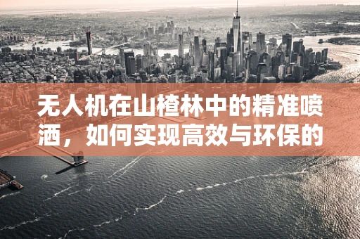 无人机在山楂林中的精准喷洒，如何实现高效与环保的平衡？