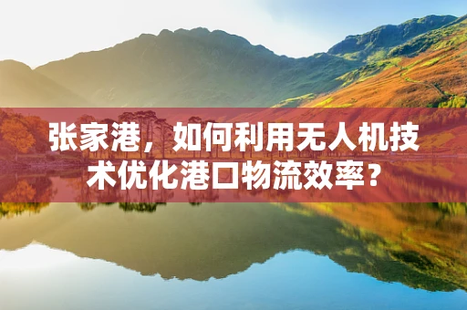 张家港，如何利用无人机技术优化港口物流效率？
