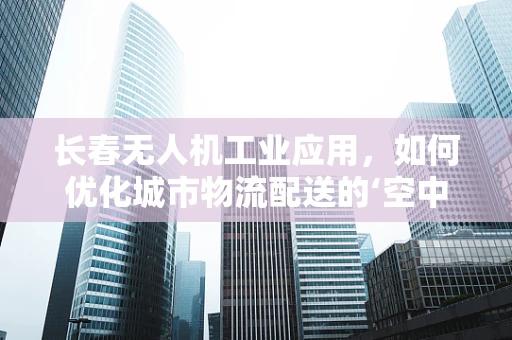 长春无人机工业应用，如何优化城市物流配送的‘空中桥梁’？