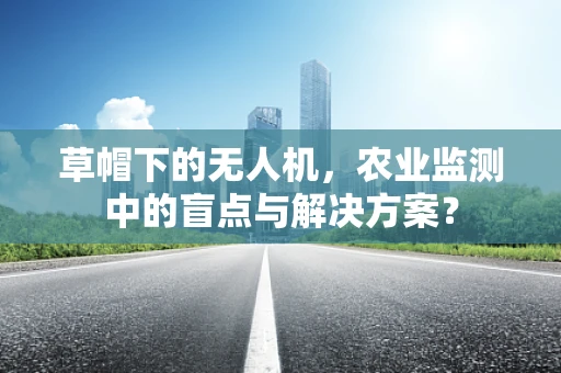 草帽下的无人机，农业监测中的盲点与解决方案？