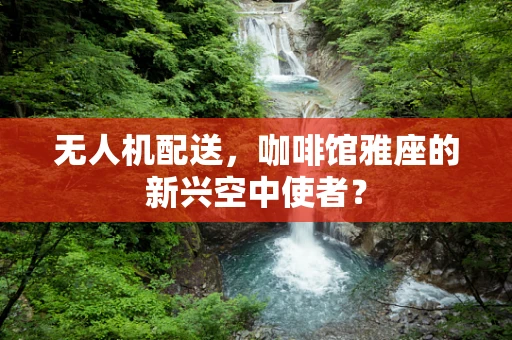 无人机配送，咖啡馆雅座的新兴空中使者？