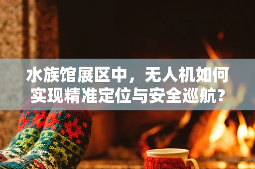 水族馆展区中，无人机如何实现精准定位与安全巡航？