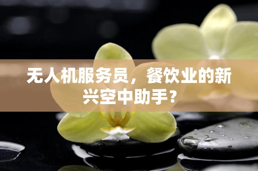 无人机服务员，餐饮业的新兴空中助手？