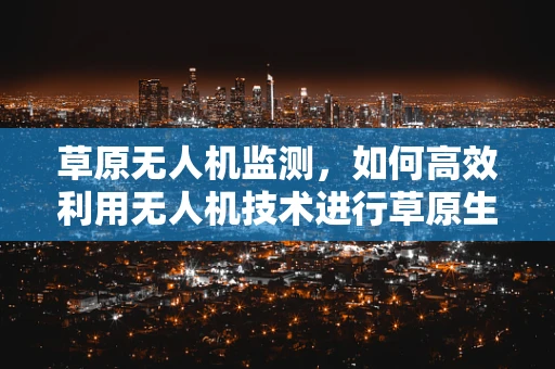 草原无人机监测，如何高效利用无人机技术进行草原生态监测？