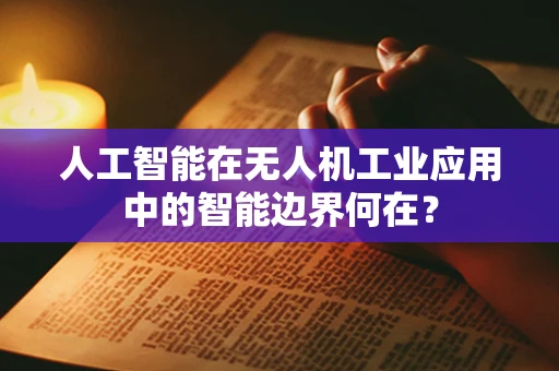 人工智能在无人机工业应用中的智能边界何在？