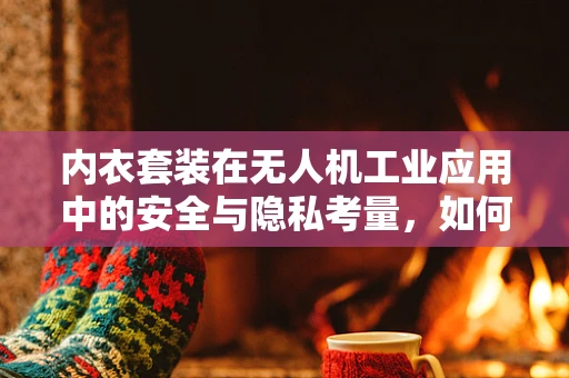 内衣套装在无人机工业应用中的安全与隐私考量，如何平衡效率与隐私？