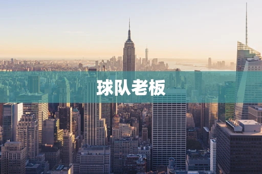 球队老板