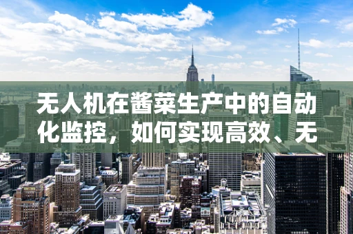 无人机在酱菜生产中的自动化监控，如何实现高效、无损的智能监测？