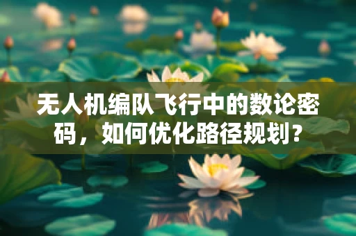 无人机编队飞行中的数论密码，如何优化路径规划？