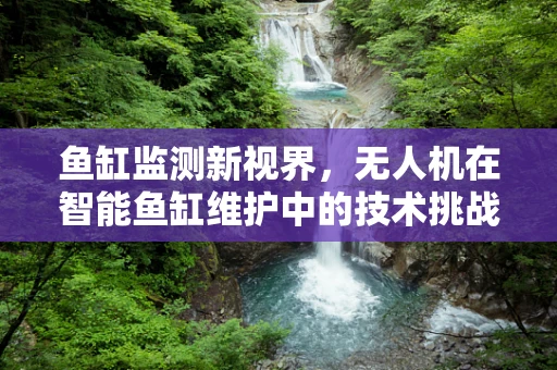 鱼缸监测新视界，无人机在智能鱼缸维护中的技术挑战与解决方案