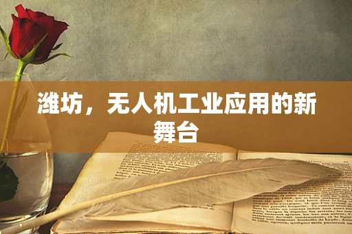 潍坊，无人机工业应用的新舞台