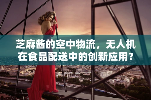 芝麻酱的空中物流，无人机在食品配送中的创新应用？