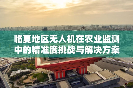 临夏地区无人机在农业监测中的精准度挑战与解决方案