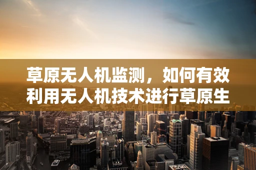 草原无人机监测，如何有效利用无人机技术进行草原生态监测？