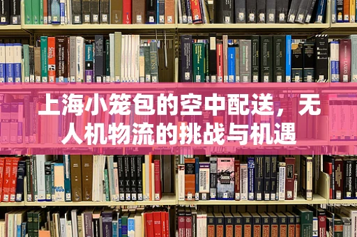 上海小笼包的空中配送，无人机物流的挑战与机遇