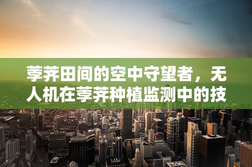 荸荠田间的空中守望者，无人机在荸荠种植监测中的技术挑战