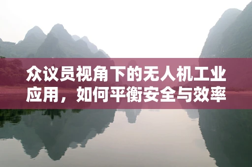众议员视角下的无人机工业应用，如何平衡安全与效率的双重挑战？