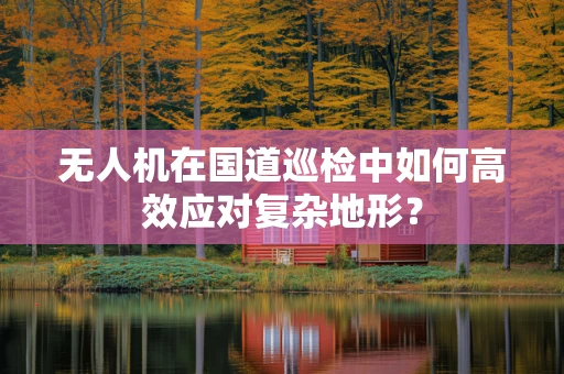 无人机在国道巡检中如何高效应对复杂地形？
