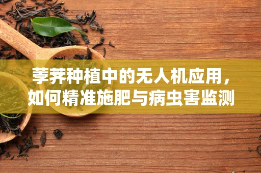 荸荠种植中的无人机应用，如何精准施肥与病虫害监测？