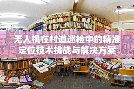 无人机在村道巡检中的精准定位技术挑战与解决方案