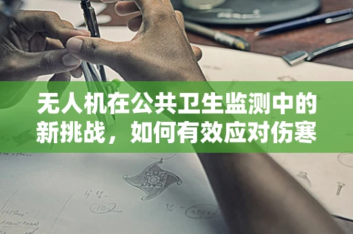 无人机在公共卫生监测中的新挑战，如何有效应对伤寒与副伤寒的快速识别？