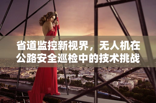 省道监控新视界，无人机在公路安全巡检中的技术挑战与解决方案