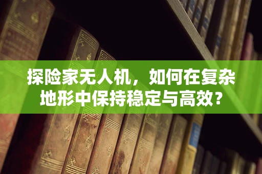 探险家无人机，如何在复杂地形中保持稳定与高效？