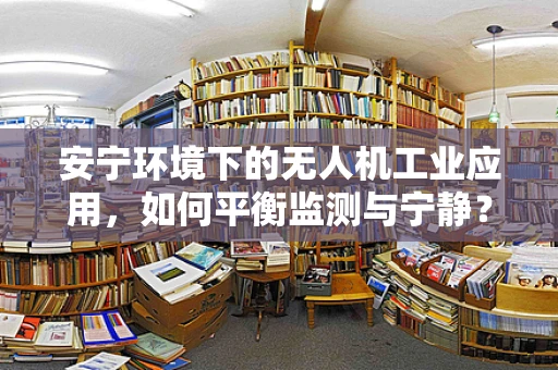 安宁环境下的无人机工业应用，如何平衡监测与宁静？