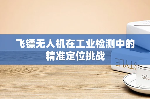 飞镖无人机在工业检测中的精准定位挑战