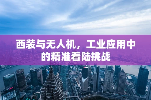 西装与无人机，工业应用中的精准着陆挑战