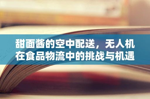 甜面酱的空中配送，无人机在食品物流中的挑战与机遇？