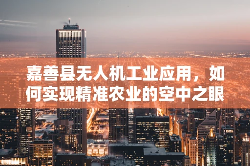 嘉善县无人机工业应用，如何实现精准农业的空中之眼？
