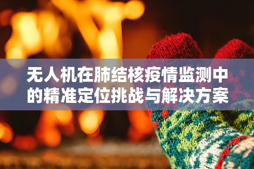 无人机在肺结核疫情监测中的精准定位挑战与解决方案