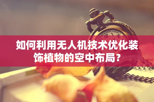 如何利用无人机技术优化装饰植物的空中布局？
