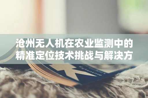 沧州无人机在农业监测中的精准定位技术挑战与解决方案