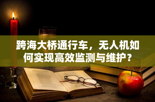 跨海大桥通行车，无人机如何实现高效监测与维护？