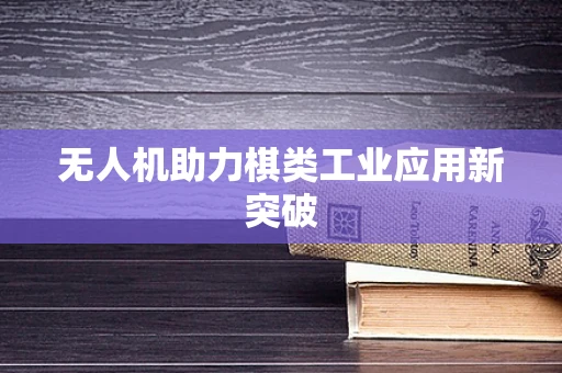 无人机助力棋类工业应用新突破