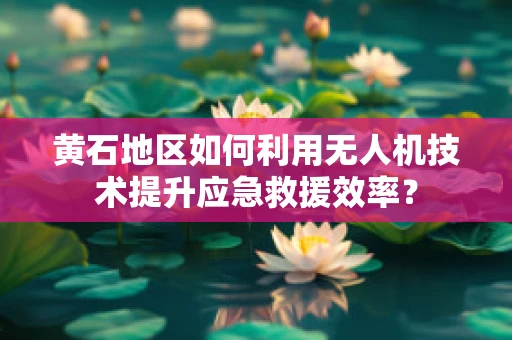 黄石地区如何利用无人机技术提升应急救援效率？