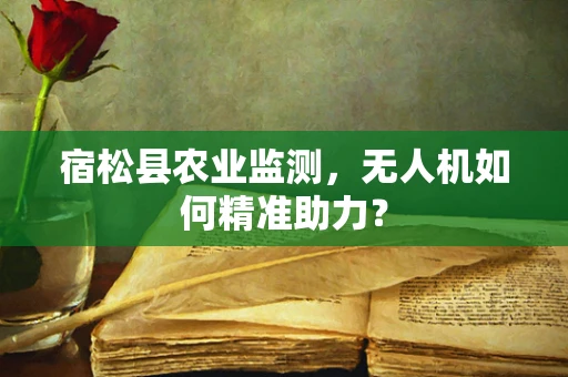 宿松县农业监测，无人机如何精准助力？