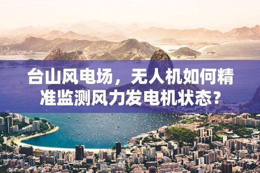 台山风电场，无人机如何精准监测风力发电机状态？