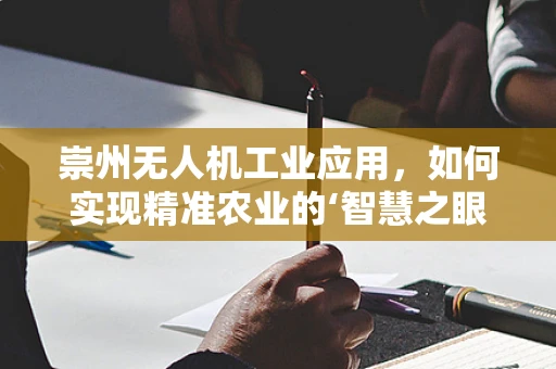 崇州无人机工业应用，如何实现精准农业的‘智慧之眼’？