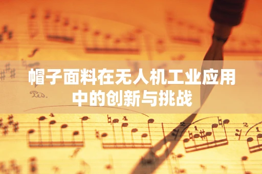 帽子面料在无人机工业应用中的创新与挑战