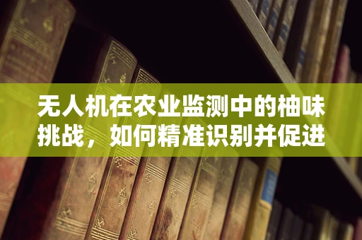 无人机在农业监测中的柚味挑战，如何精准识别并促进柚子园健康？