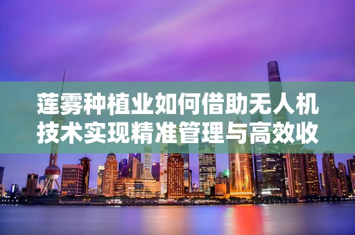 莲雾种植业如何借助无人机技术实现精准管理与高效收获？