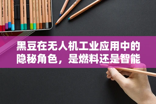 黑豆在无人机工业应用中的隐秘角色，是燃料还是智能材料？