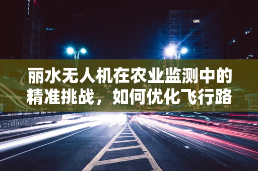 丽水无人机在农业监测中的精准挑战，如何优化飞行路径以提升监测效率？