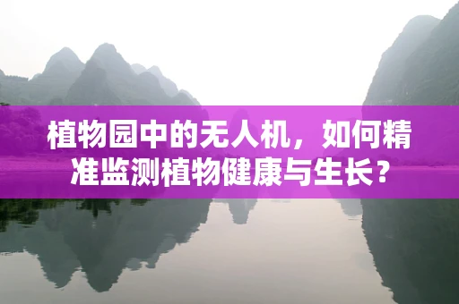 植物园中的无人机，如何精准监测植物健康与生长？