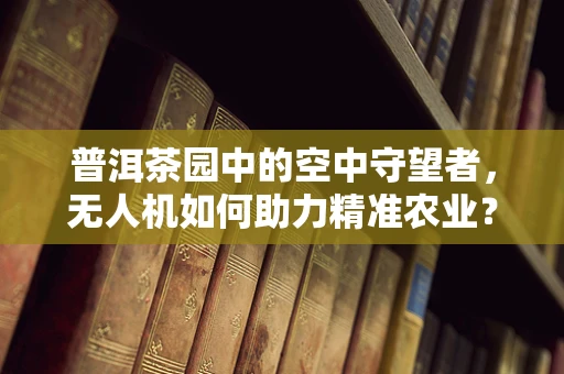 普洱茶园中的空中守望者，无人机如何助力精准农业？