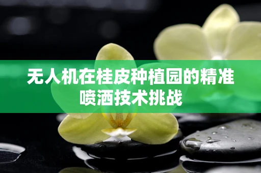 无人机在桂皮种植园的精准喷洒技术挑战